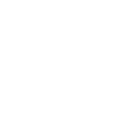 Automative Industry Solution