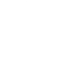 ISV & Product Companies