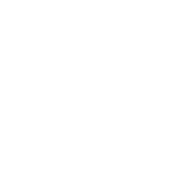 Media & Entertainment